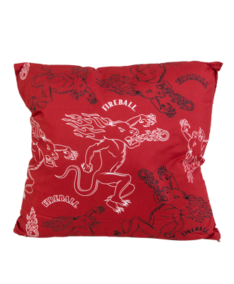 Fireball Step and Repeat Pillow Set
